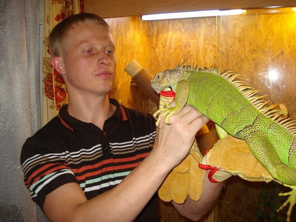 Руслан Корж