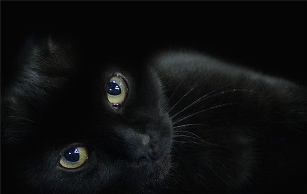 Анастасия Викторовна