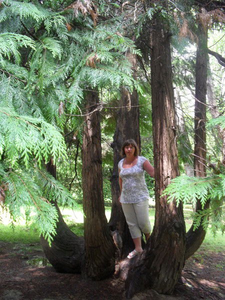 Людмила Шорикова