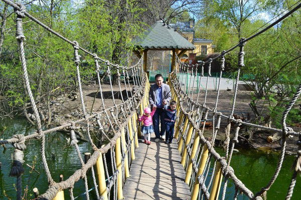 Амир Самир Минеевы