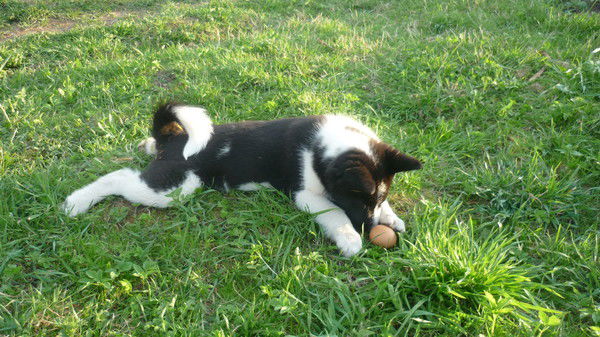 Николай Кулагин