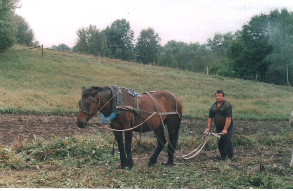 Николай Гагин