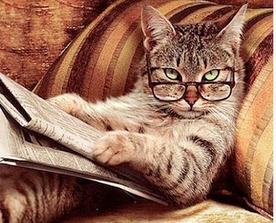 Oleksandra Oleksandra