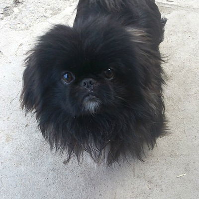 Оля Беляева