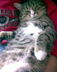 Захар Асеев