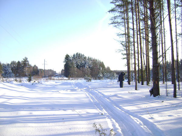 Виталий Румянцев