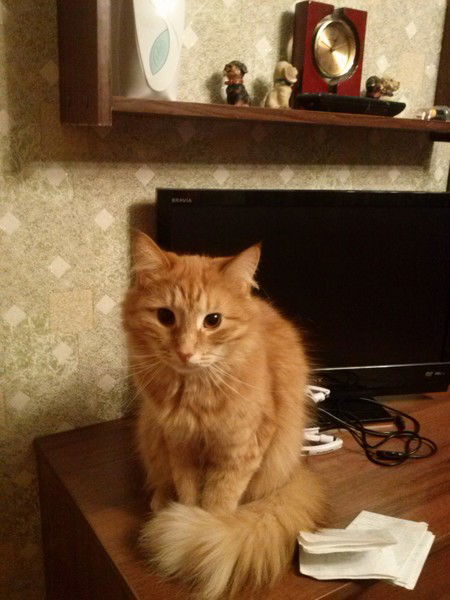 Артем Батурин