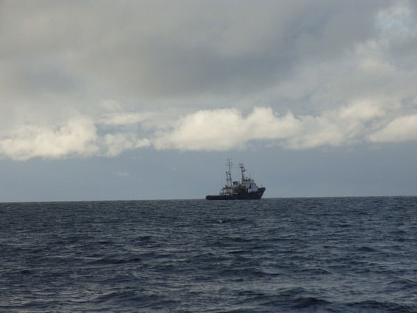 Николай Сорокин