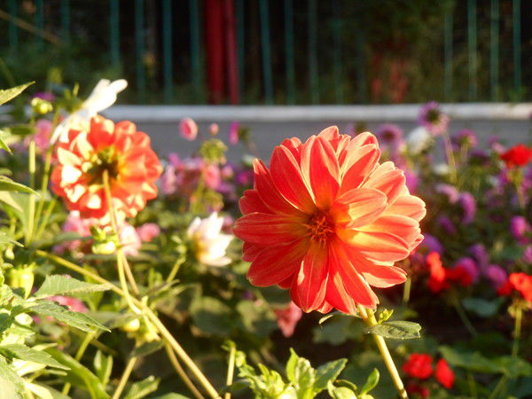 Татьяна Гордюшкина (Бахтина)