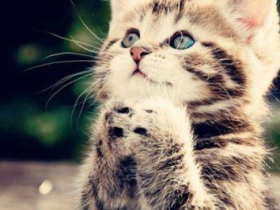 Татьяна Афанасьева(Кулик)