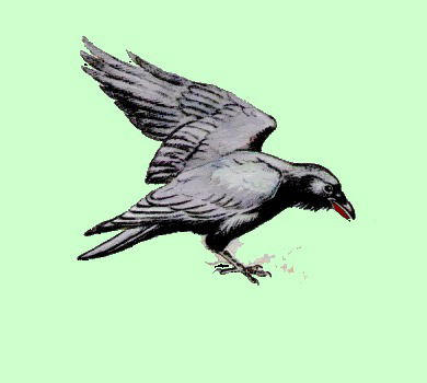 Александр Каспилов