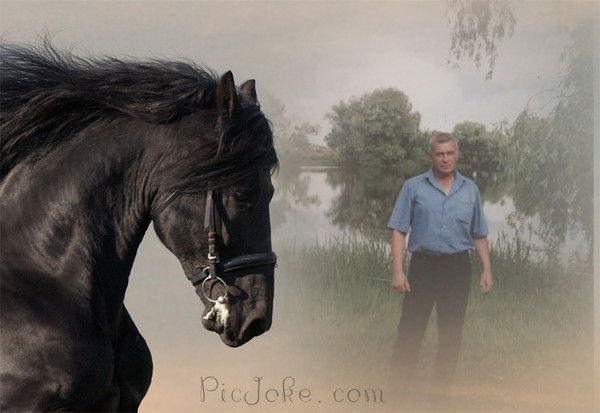 Владимир Пересада