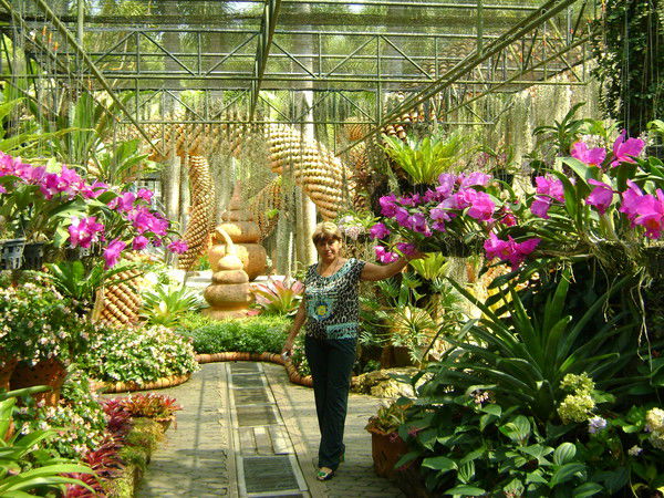 Халиса Керейбаева