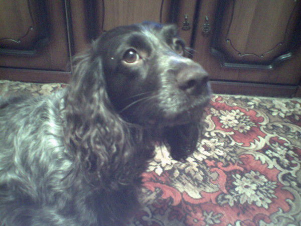 Вероника Мельникова