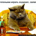 Anton Morozow