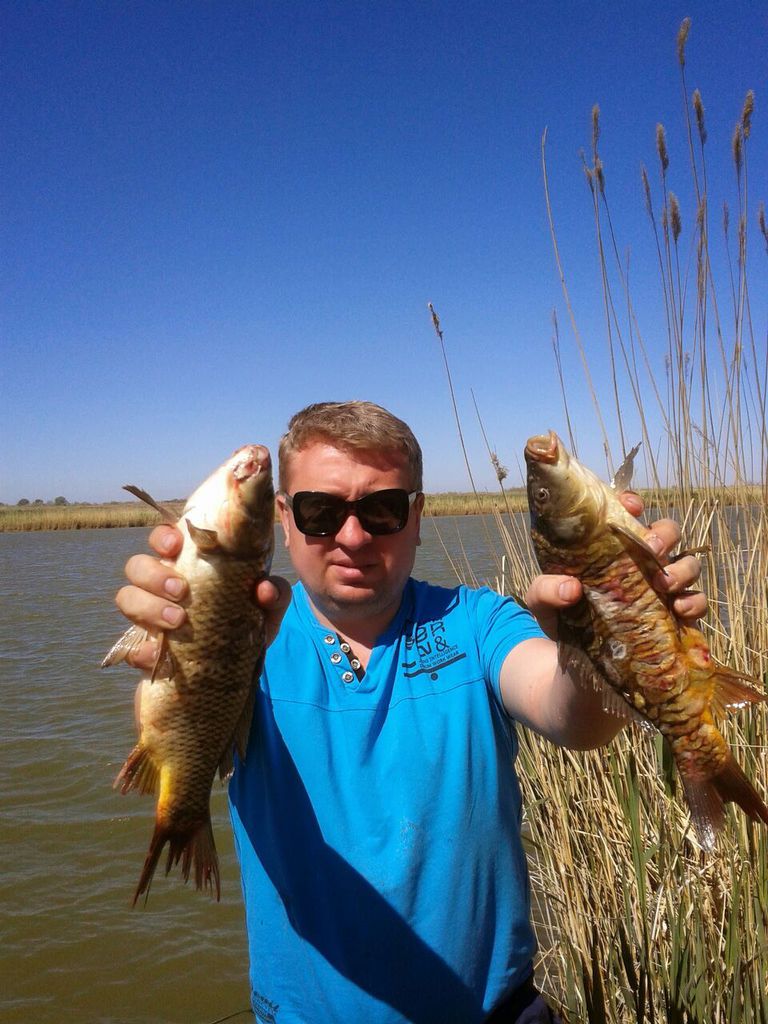 Недосейкин Андрей