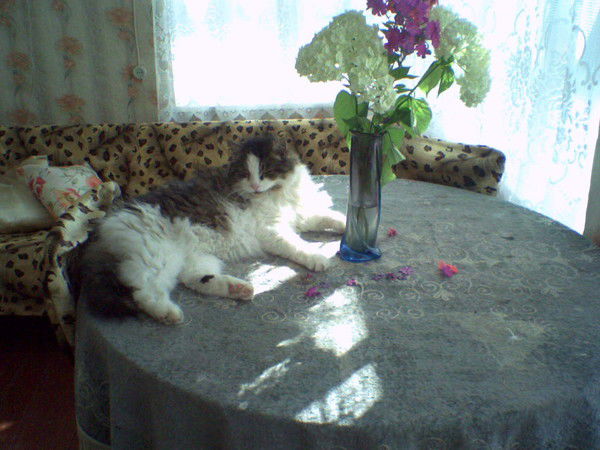 Наталия Сальникова