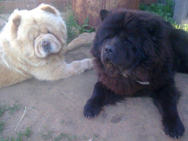 Алексей Барыкин