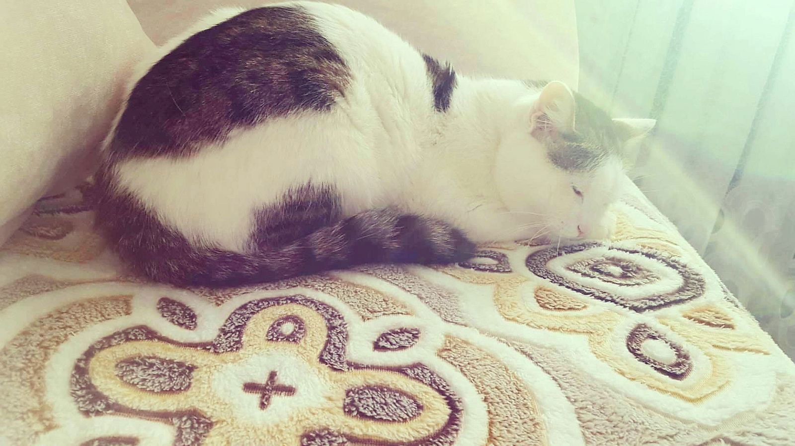 ЖАННУР АЛГАЛИЕВА