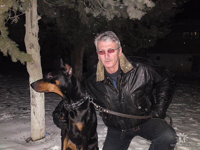 Рафик Мамедов