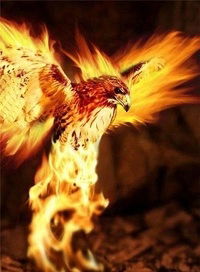 Николай Мищенко