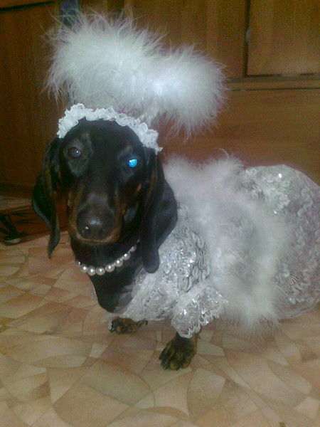 Екатерина Камарская