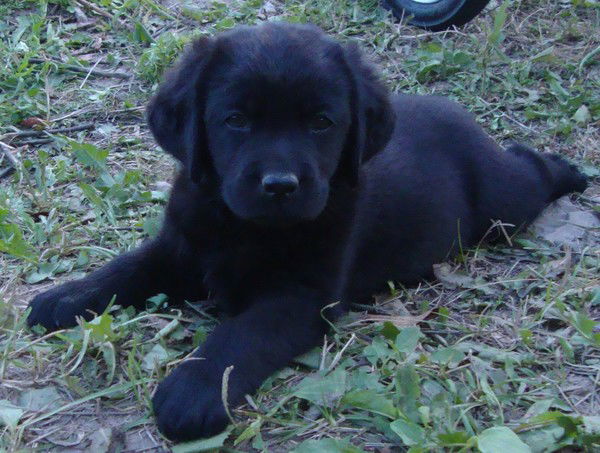 Людмила Соколова