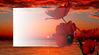 Апèльçинкà