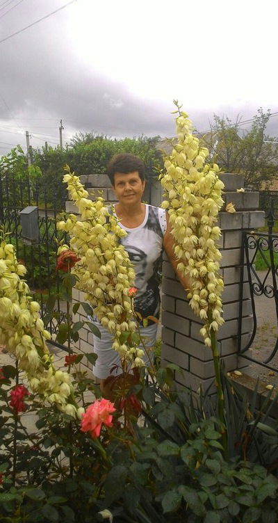 Наталья Москаленко-Крупко