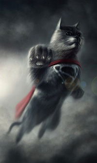 Никита Бирюков