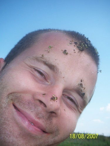 Роман Сафронов