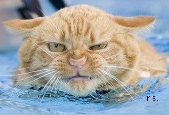 Александра Попова