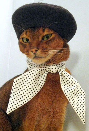 Светлана Соколова