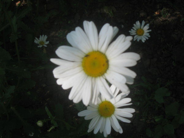 Татьяна Михайлова