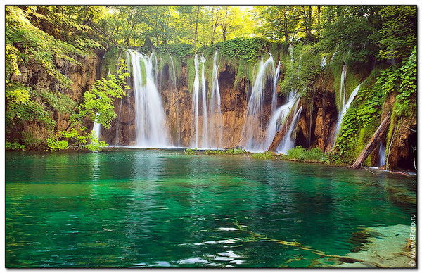 Отдел Образования