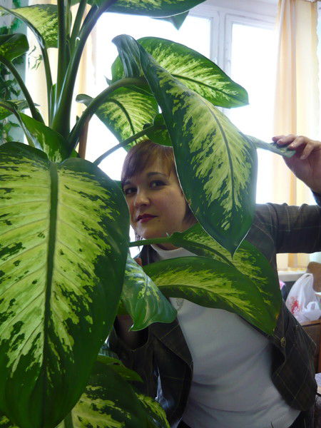 Наталья Волкова