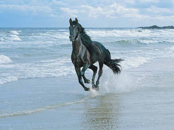 Асем Даубаева