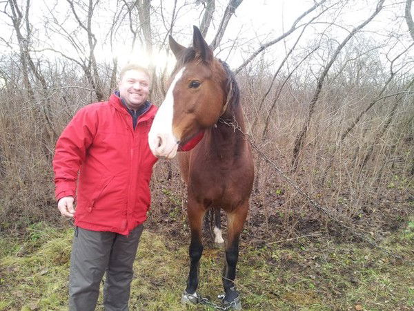 Андрей Тесёлкин