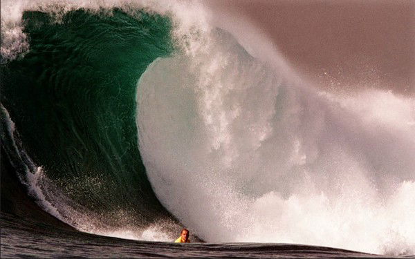 Елена Шешина