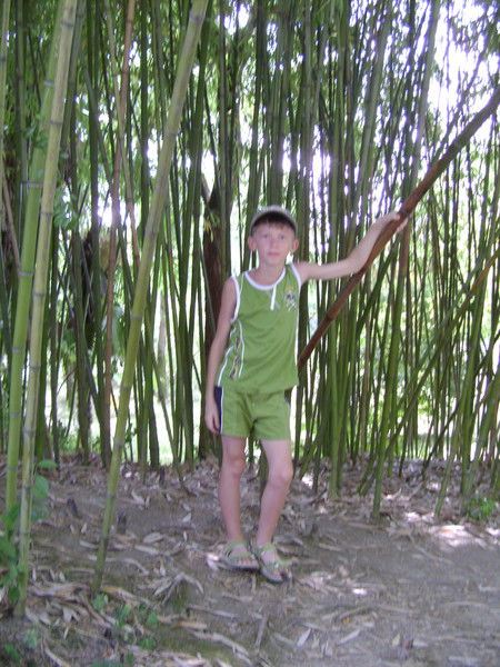 Дмитрий Хорошилов