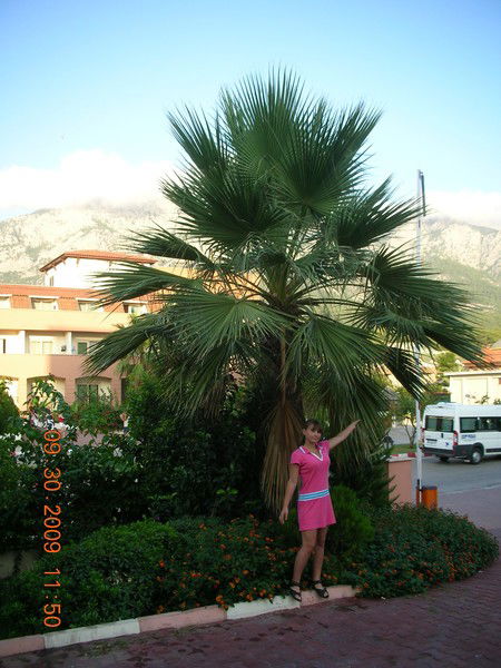 Александра Лаптева