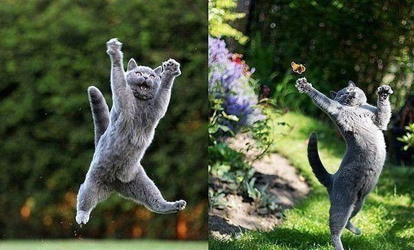 Информационно-Методический Центр