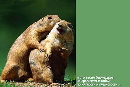 Ринат Кучанов