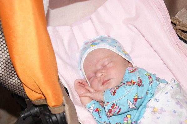 Алексей Данилов