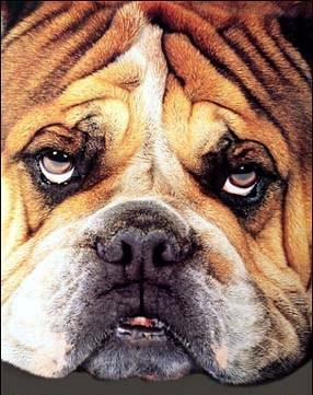 Геннадий Логовинский