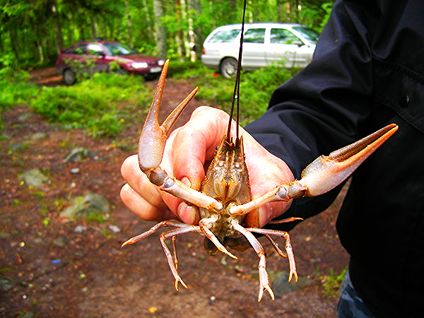 Роман Никонов