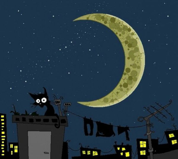 Василий Шалаев