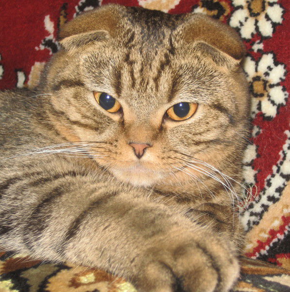 Наталья Гусева