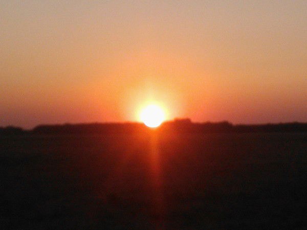 Лидия Хамицевич