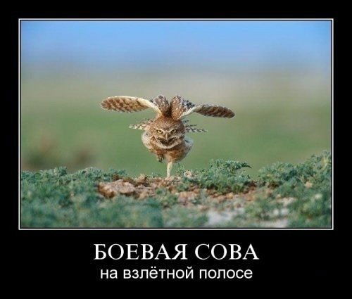 Рггу Липецк